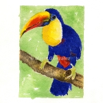 Blue Toucan by Maria Gonzalez